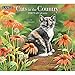 Cats in the Country 2020 Calendar