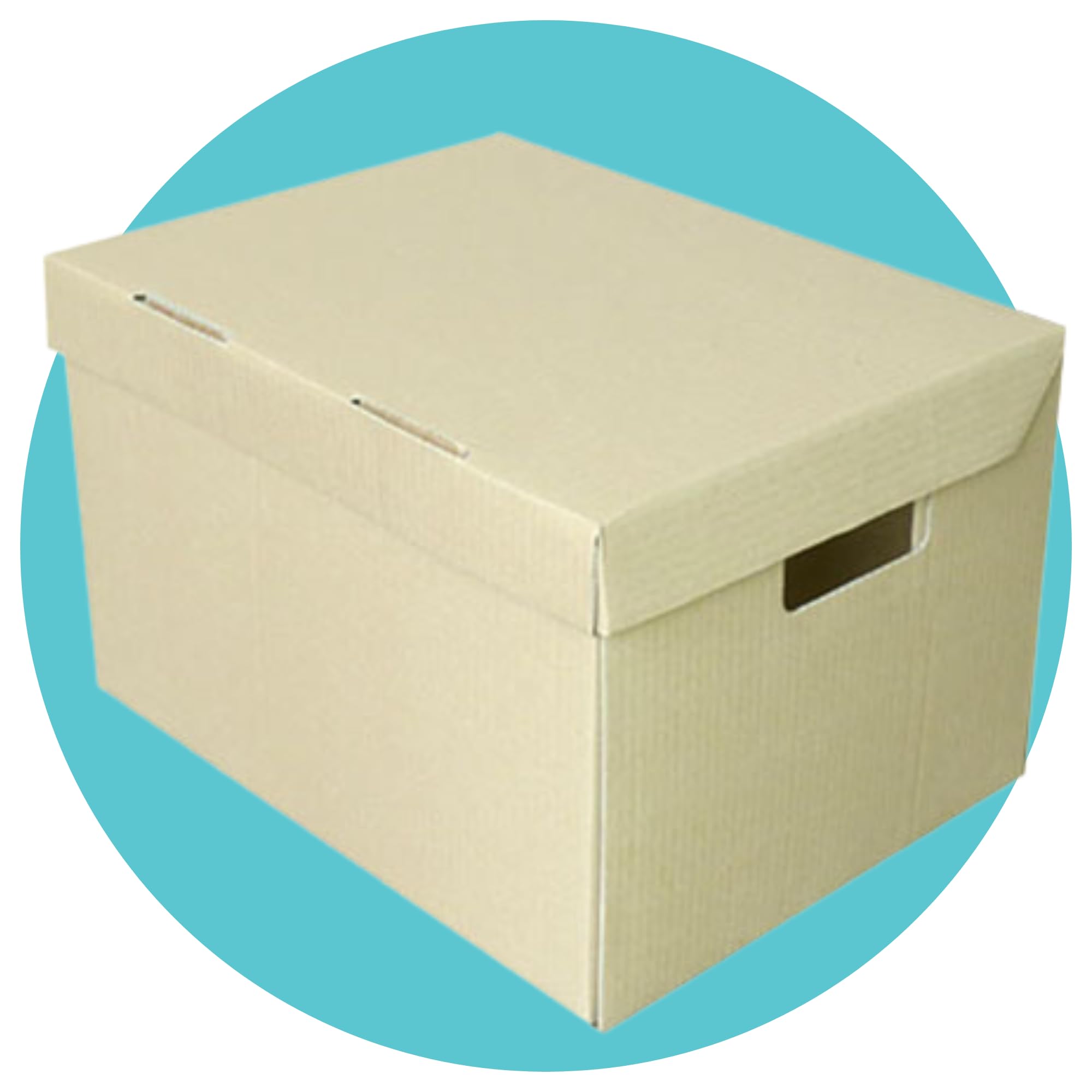 Triplast 15 x 12 x 9-Inch Archive File Storage Removal Office Cardboard Box with Lids and Handles (Pack of 10)