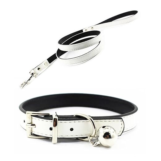 Metal Buckle Pet Collar and Leash Set with Bell Suit for Cats or Puppy Dogs White/Black/Red/Pink/Blue/Brown (S (Collar + Leash), White)