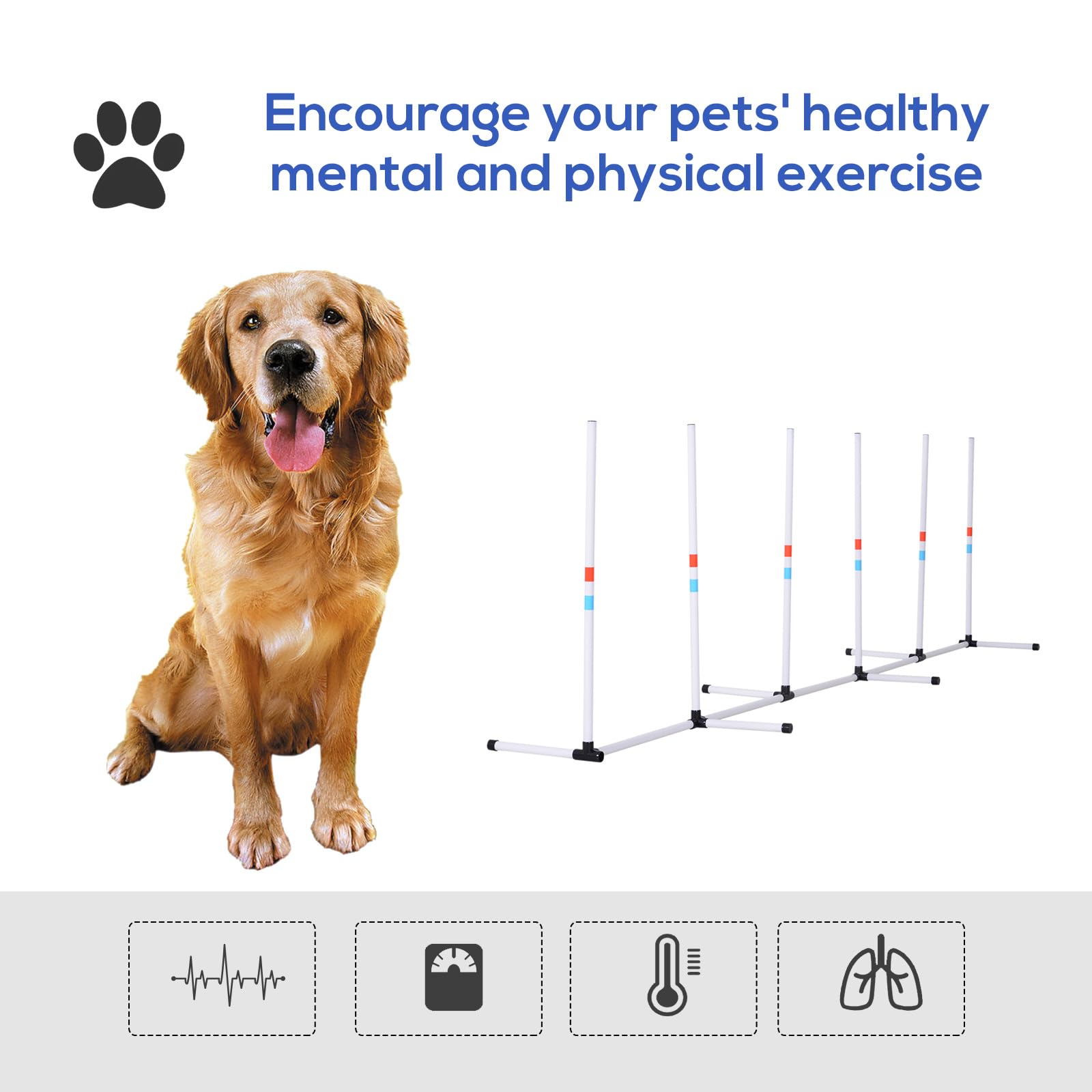 Kaimei Dog Agility Training Weave Poles Set - Adjustable Dog Obstacle Course for Exercise and Training - Portable with Storage Bag - Great for Outdoor Play and Pet-Owner Bonding - image 4