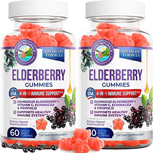Sambucus Elderberry Gummies(2 Pack)by Fjord Naturals|4-in-1 Immune Support for Adults & Kids|Pure Elderberry 200MG|117% Vitamin C, Echinacea & Propolis|Antioxidant|Vegan & Gluten Free|Made in USA