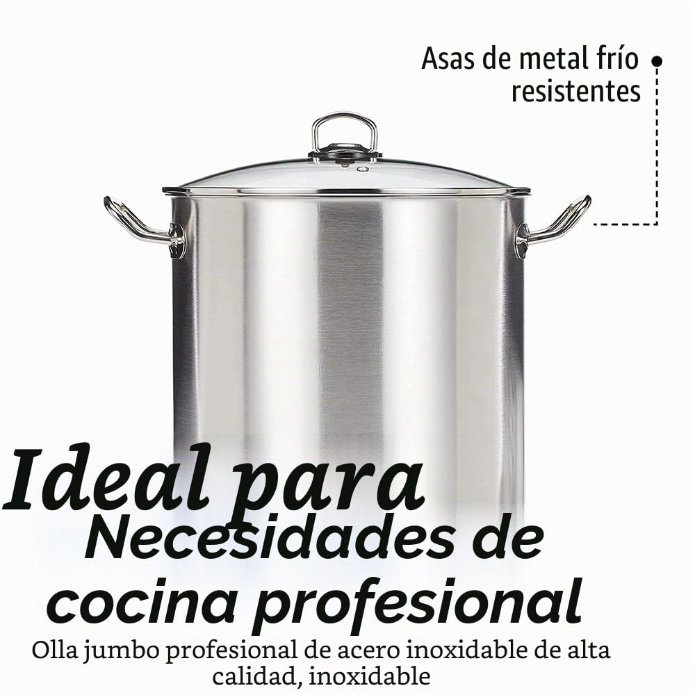 GSW 643474 - Olla grande profesional con tapa de cristal 30 x 28 cm / aprox. 20 litros, de acero inoxidable, plateada, 44 x 31,5 x 29,5 cm, 2 unidades