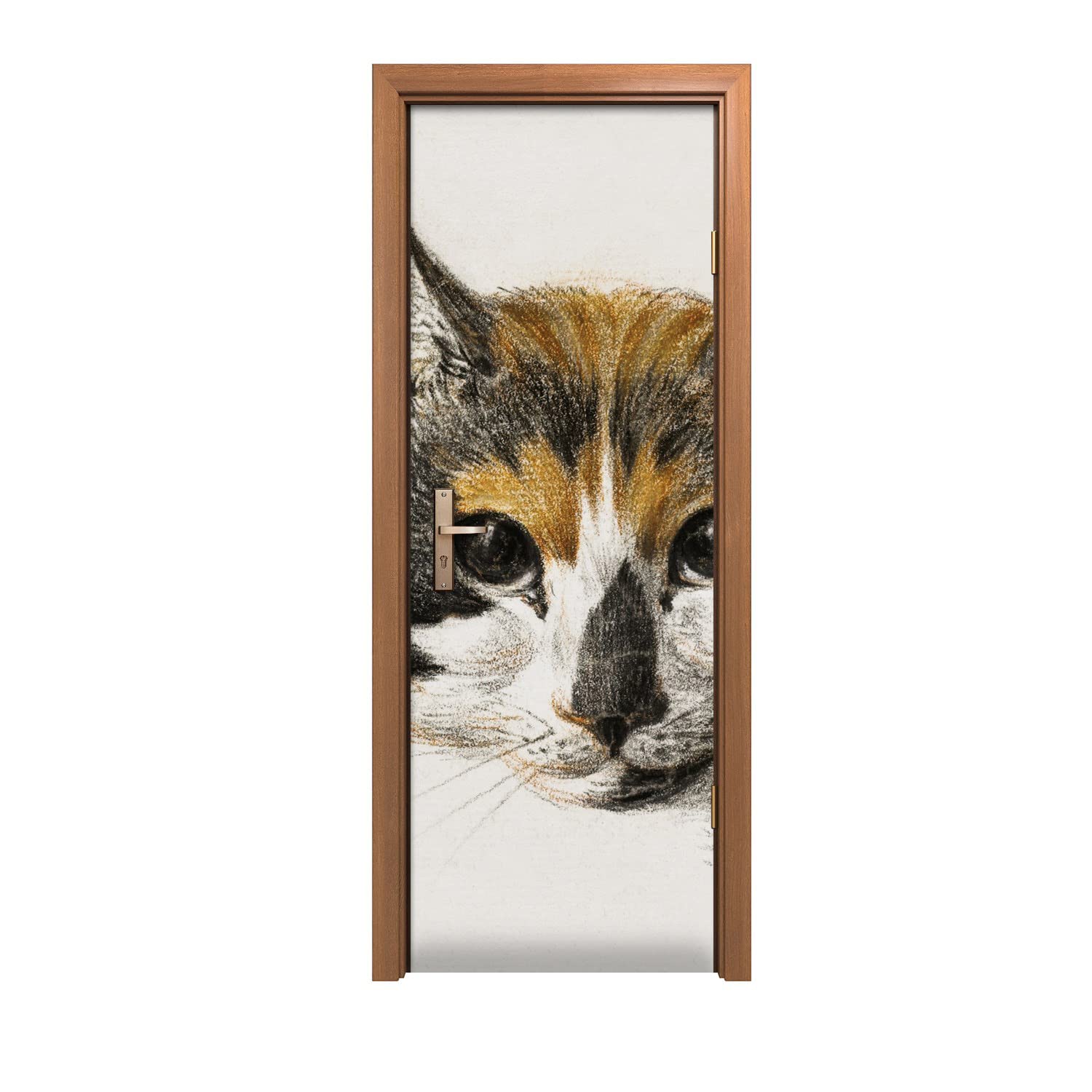 Autocollant de porte chat animal 70x200cm pour masquer les rayures et defauts