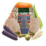 The Three Sisters Seed Assortment – 6 Pack Heirloom Corn, Beans & Squash – Blue Hopi, Trucker’s Favorite, Blue Lake, Pinto, Golden Delicious & Cushaw – Non-GMO, Traditional Garden Mix