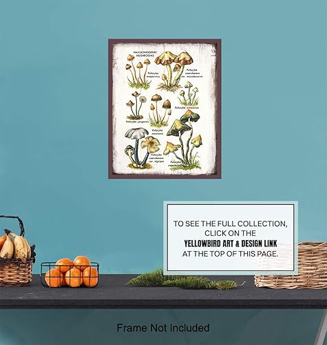 Miniatura 6 de Arte psicodélico alucinógeno medicinal de hongos mágicos botánicos – Esporas de Psilocibina Trippy Decoración de pared – Decoración psicodélica de