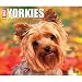 Just Yorkies Desk Calendar
