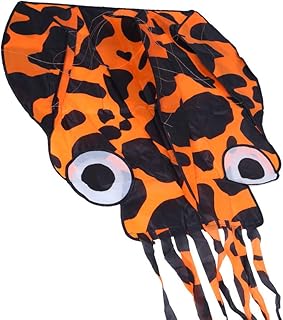 pipa de polvo de linha única, brinquedos voadores feitos à mão bem equilibrados pipa de praia de cauda longa para crianças e adultos para vento de 3 a 5 níveis