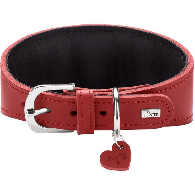 Foto 5 de 8 de HUNTER Collar de Galgo Love