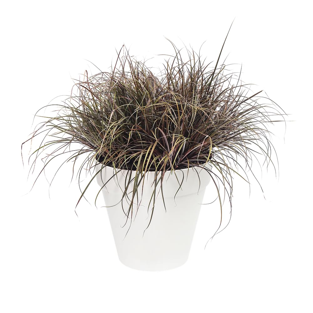 Elho loft urban round 70cm vaso da fiori - White | Ø 69 x Alt. 62.5 cm