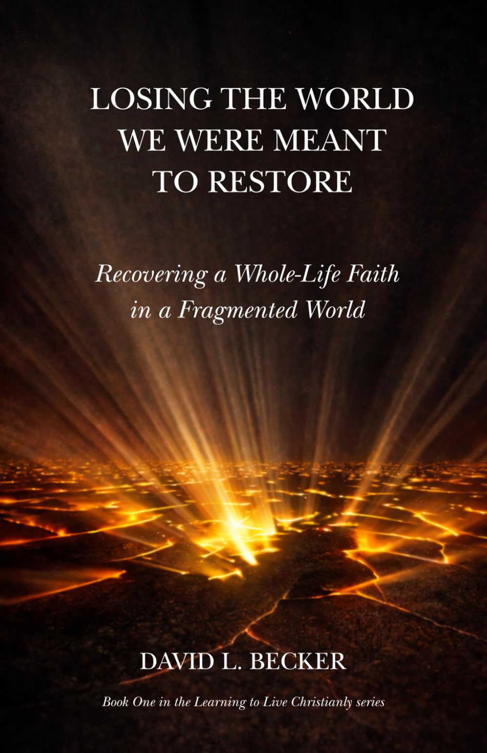 Losing the World We Were Meant to Restore: Recovering a Whole-Life Faith in a Fragmented World