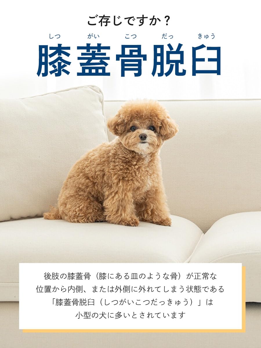 Amazon | 【犬用 EMSトレーニングスーツ】犬 膝蓋骨脱臼 ケア EMS
