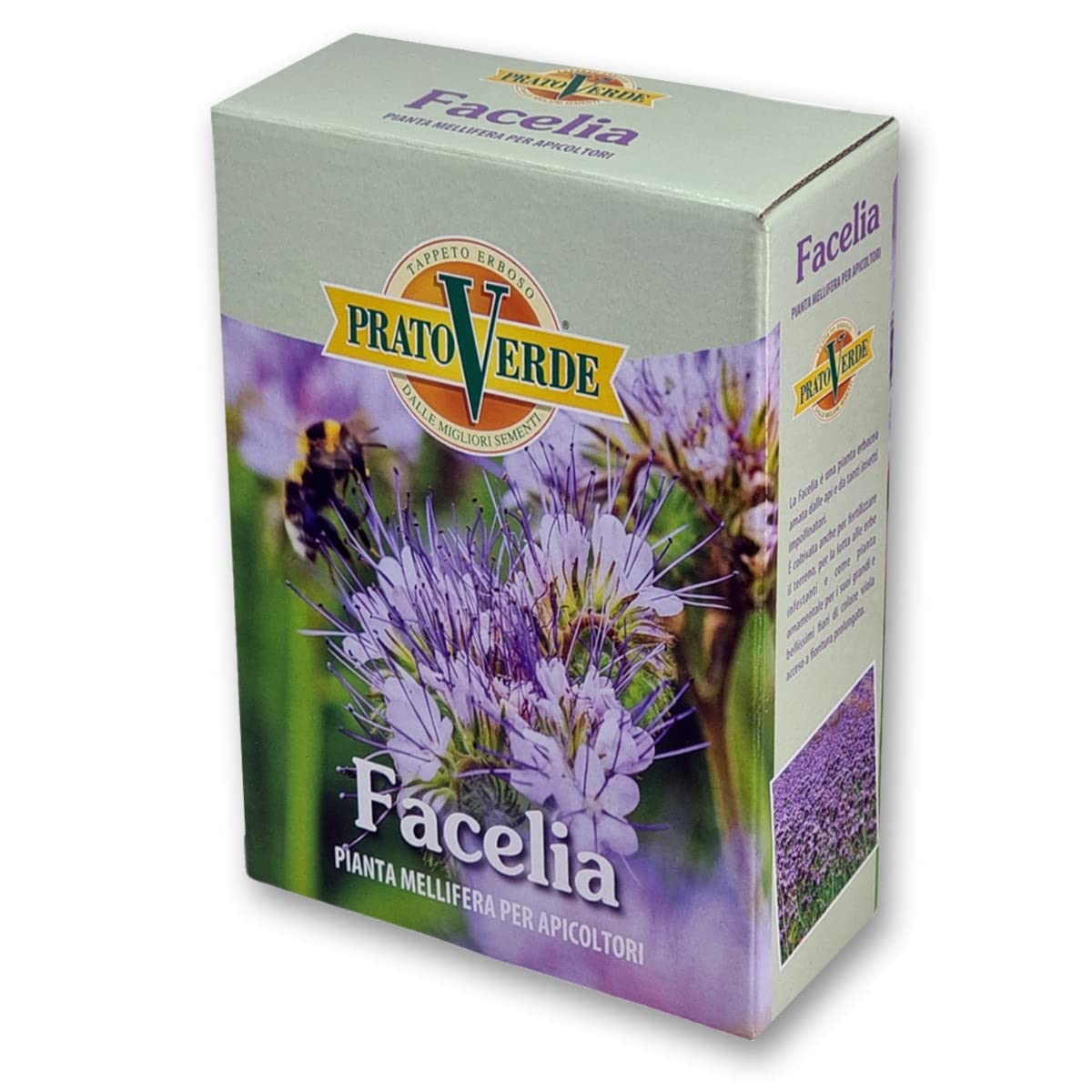 FACELIA (Phacelia Tanacetifolia) Seme certificato grammi 500 Mellifere da semina