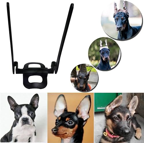 Miniatura 3 de Dandelion Kit de colocación de orejas de perro, soporte de pie para orejas de perro, herramienta de pie con cinta para perros Doberman Pinscher