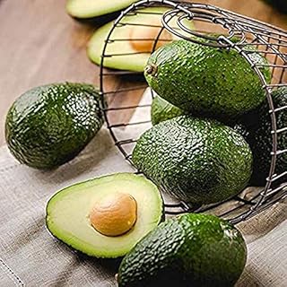 Seeds. The New 5 pc Avocado Bonsai, Very Delicious Dwarf agramsero from The Sweet Organic Fruit Fruit Vegetables Domestic Garden vase Easy to Grow: 11: Only Seeds
