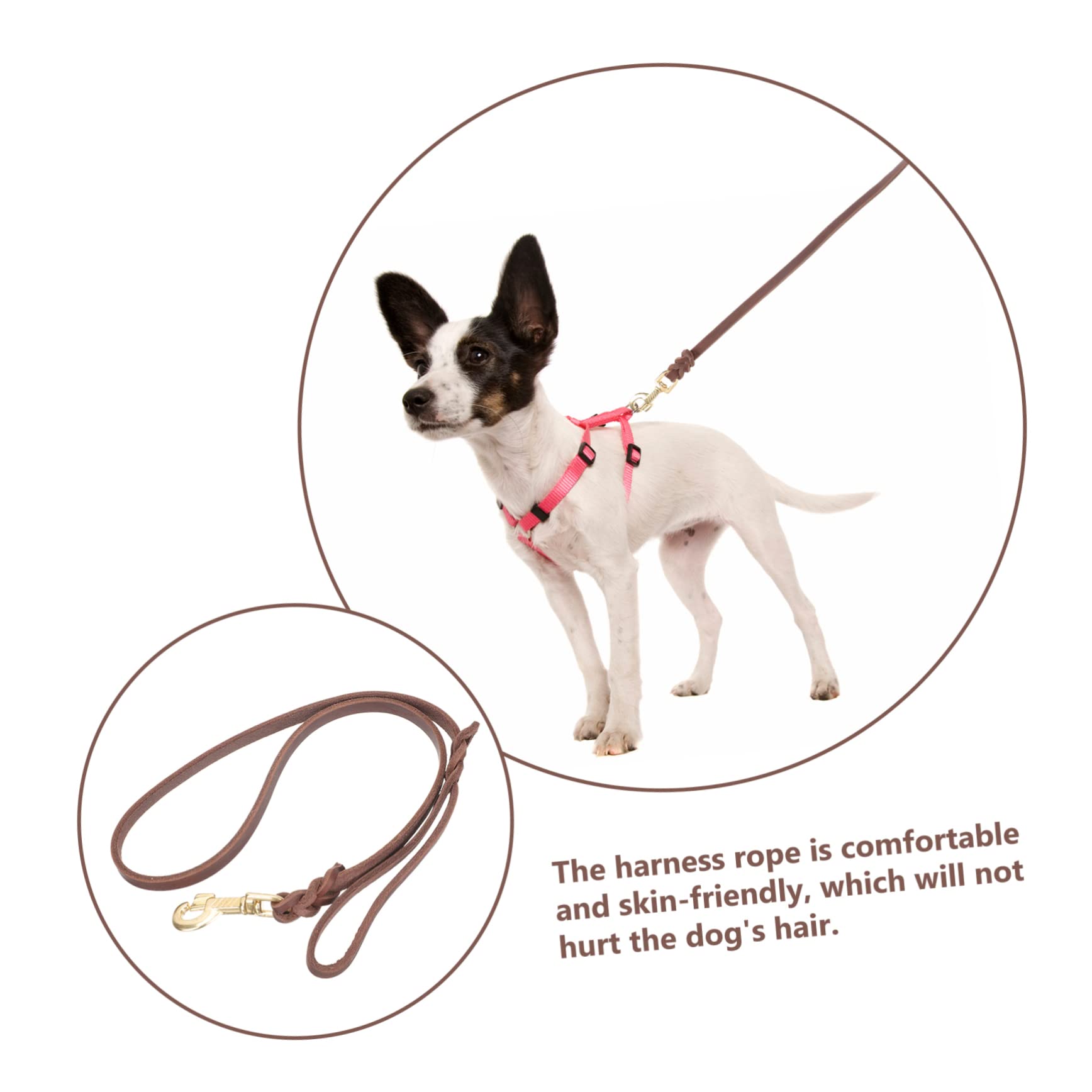 FOMIYES 3piezas Correa De Perro De Resistente Cuerda De Tracción para Perros Medianos y Gancho para Paseos y Entrenamiento De Cachorros