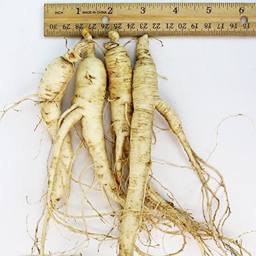WOHO Cultivated Fresh Ginseng American Ginseng Jumbo 8oz (6-8 Roots) by WOHO