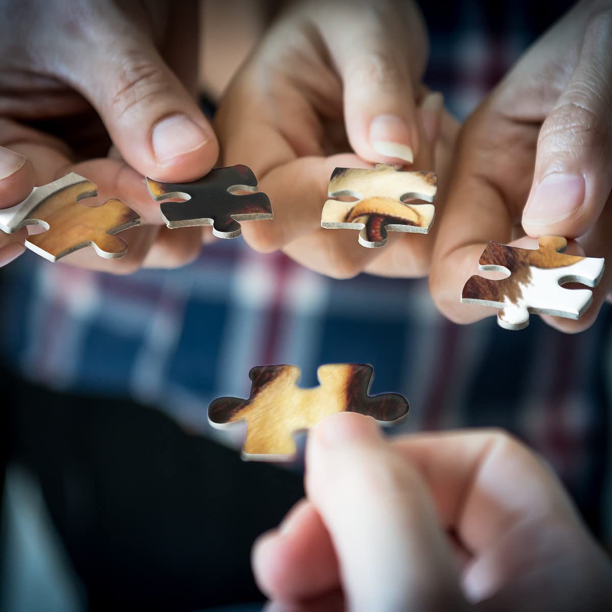 グレムリン　ギズモ　ジグソーパズル1000ピース Amazon.co.jp: グレムリン ギズモ 1000ピース パズル ジグソーパズル