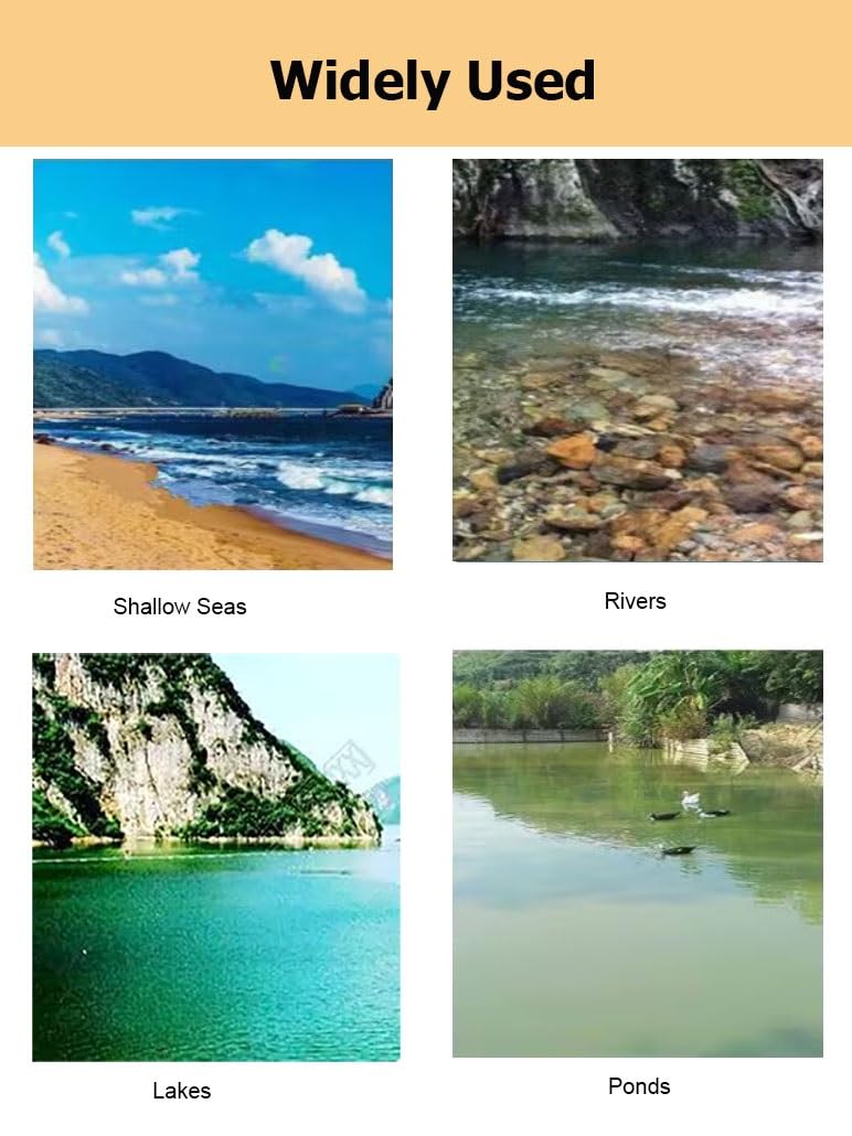 Retino da Pesca for Principianti con Disco e Catena in Acciaio, Rete da Pesca for Esche da Lancio a Mano for Fiume e Lago