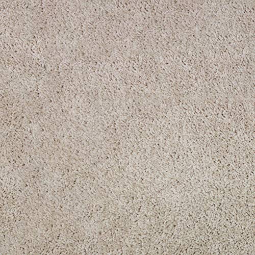 Top 10 Best Carpet Samples Free Squares Reviews & Buying Guide Katynel