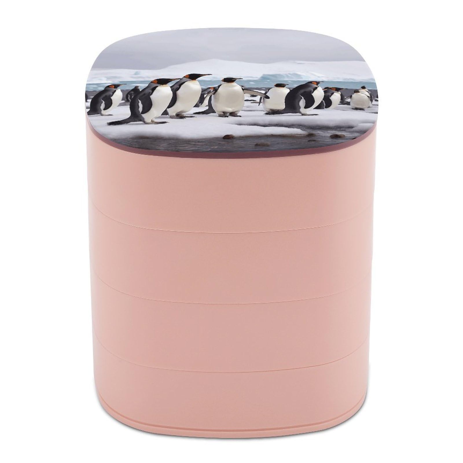 VstaDank Antarctica Penguins Jewelry Box 360° Rotatable Jewelry Organizer 4 Layers Jewelry Case with Lid Fashion Portable Earring Holder for Bracelets Rings Bracelets Vanity