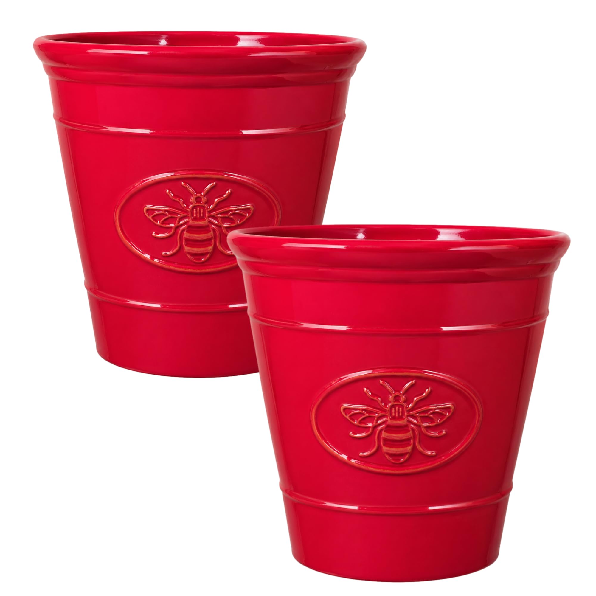 Fyne-Finds Rose Plastic Plant Pot 30cm,12inch Flower Planter 14L Bee Embossed Garden Container Indoor Outdoor Glossy (2)