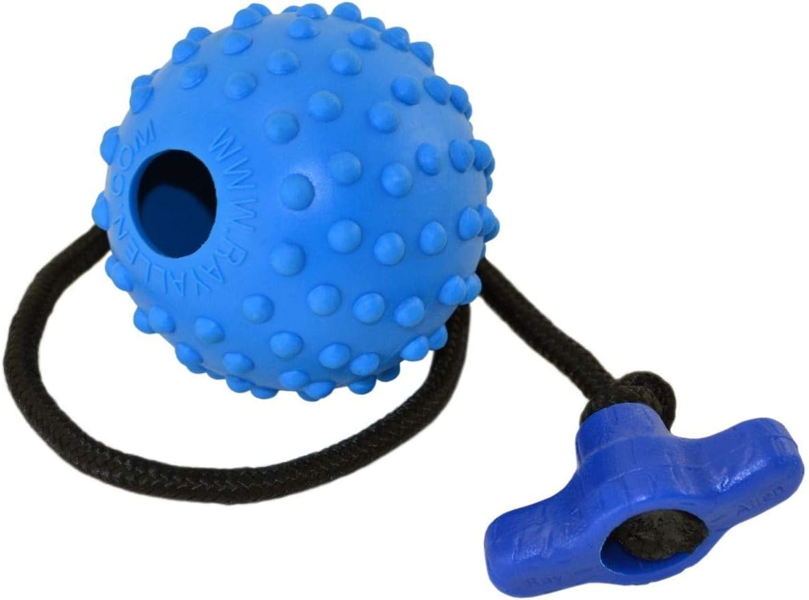 dog ball with handle