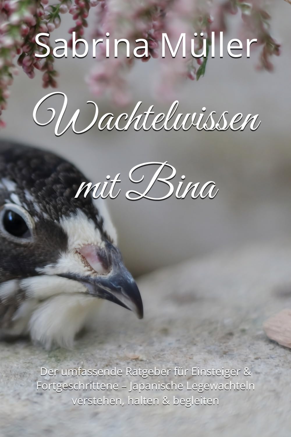Wachtelwissen mit Bina: Der umfassende Ratgeber für Einsteiger & Fortgeschrittene – Japanische Legewachteln verstehen, halten & begleiten