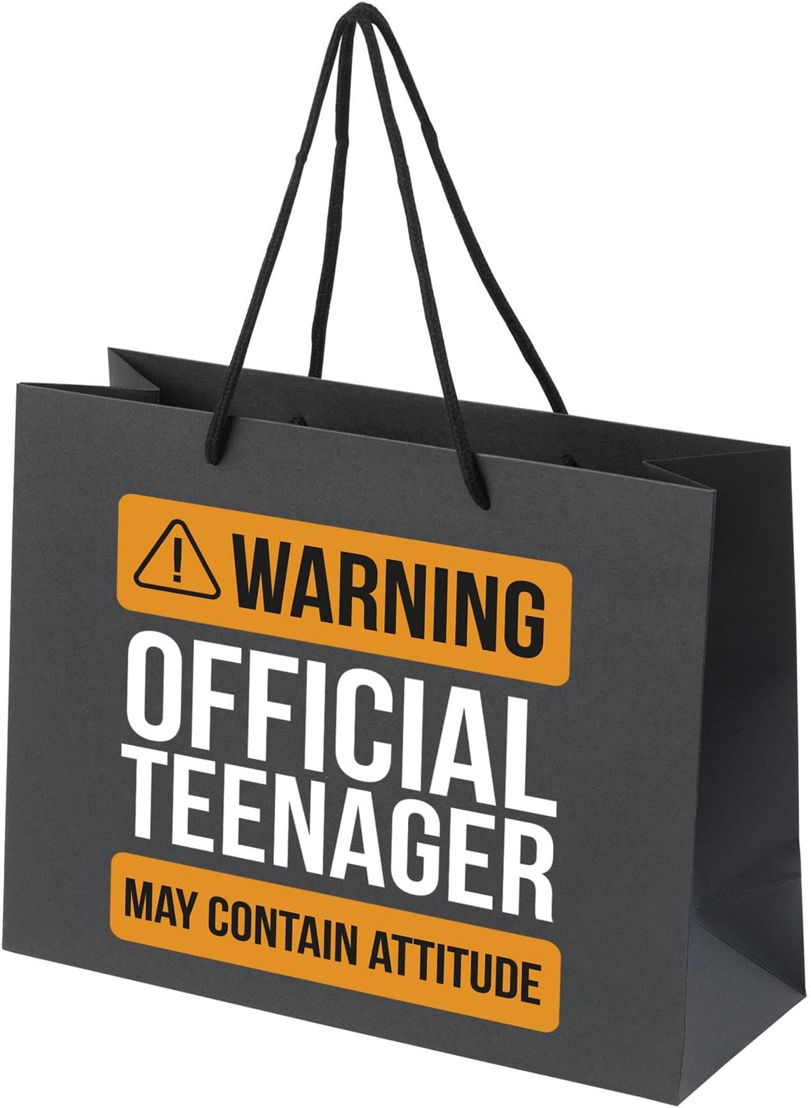 13th Birthday Gift Bags - Paper Gift Bag for Teenage Boys and Girls - Large, Small, Medium Gift Bags with Rope Handles - Recycled Presents Bag - Warning Teenager - BLK-L