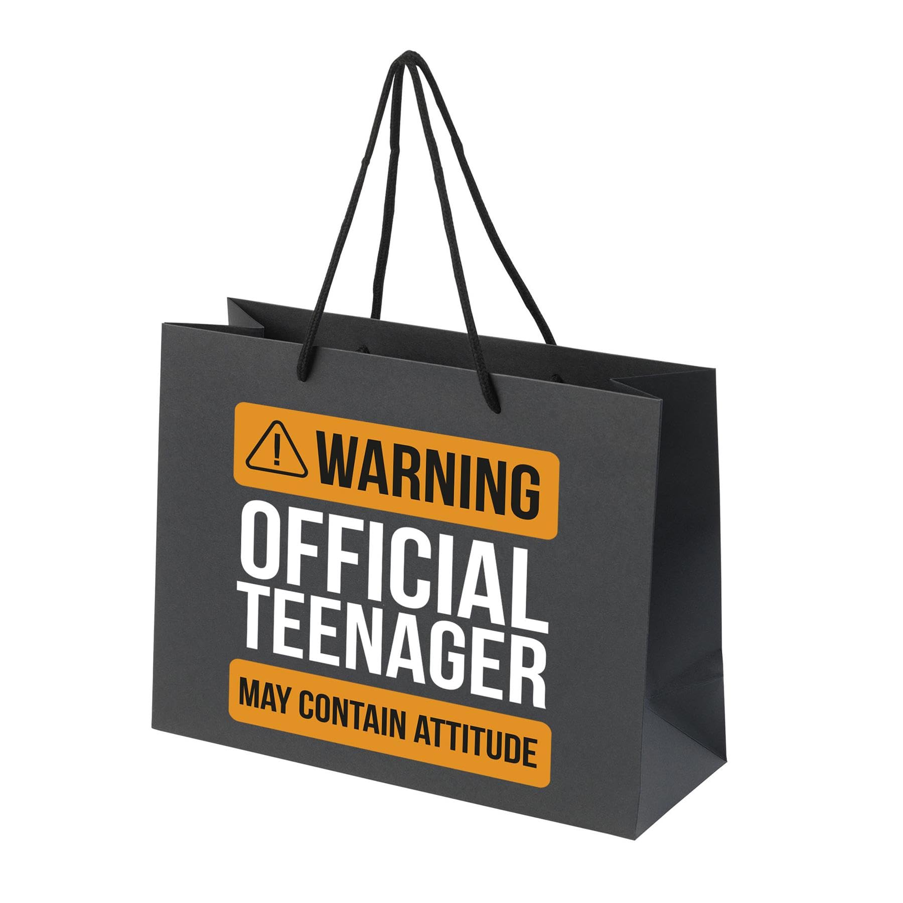 13th Birthday Gift Bags - Paper Gift Bag for Teenage Boys and Girls - Large, Small, Medium Gift Bags with Rope Handles - Recycled Presents Bag - Warning Teenager - BLK-L