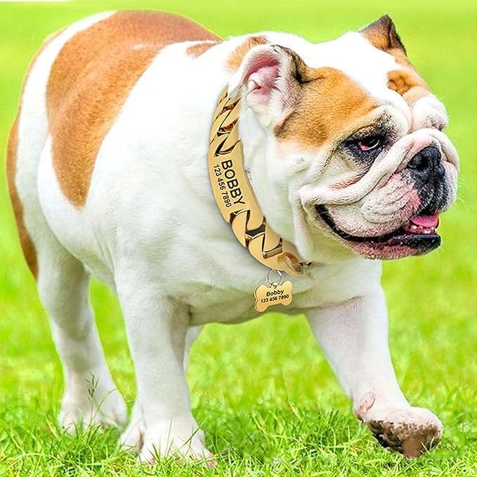 Collare a catena per cani in acciaio al titanio con chiusura di sicurezza, collare per cani da combattimento per cani di taglia grande, media e piccola taglia personalizzato anti-masticazione,