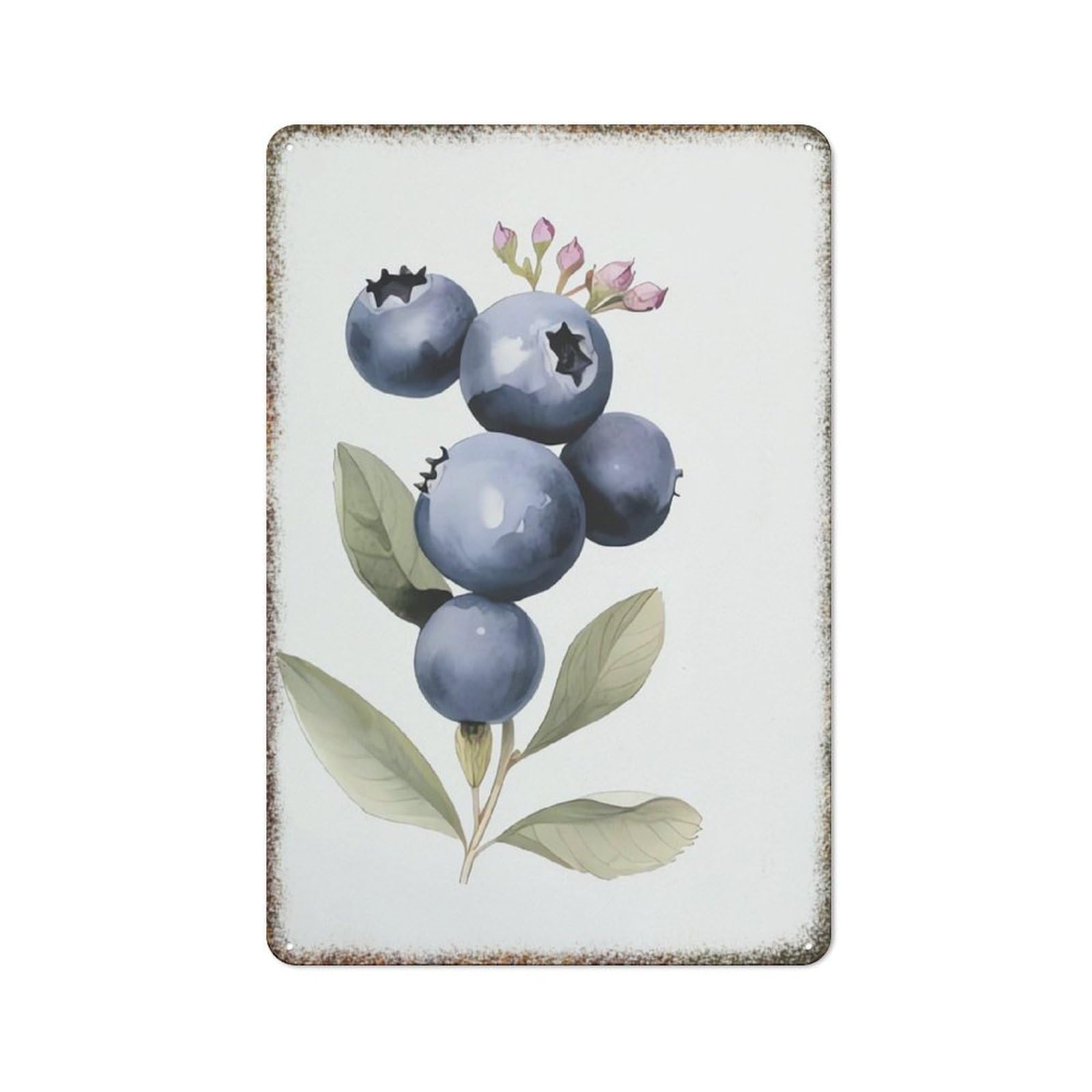Sweet Blueberry Fruit Retro Metal Plaque Home Garden Kitchen Horticulture Themed Fashion Wall Decor 8x12 Inch