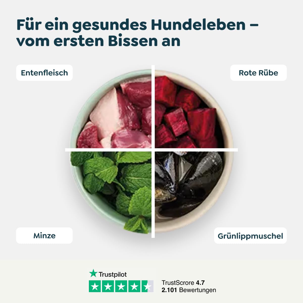 WOW Dog Senior Hunde Trockenfutter Minis mit Ente 3 x 1kg | ohne Getreide