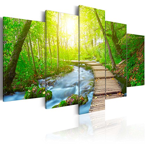 murando - Cuadro en Lienzo Cascada 200x100 cm Impresión de 5 Piezas Material Tejido no Tejido Impresión Artística Imagen Gráfica Decoracion de Pared Naturaleza Paisaje c-A-0081-b-n