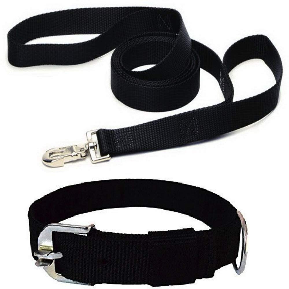 Globe of Pets Dog Neck Collar Belts and Leash Set (Waterproof, Medium, Nylon,1 inch) (Medium, Black) (B09QQ6WB45) Amazon Price History, Amazon Price Tracker