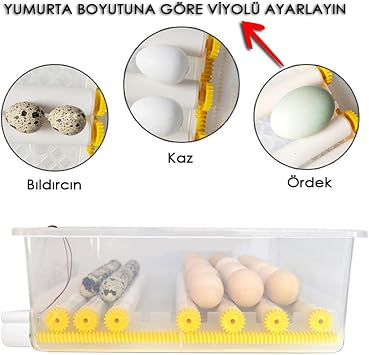 EFE INCUBATORS Goose Incubator 36 gauge