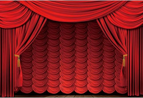OERJU Cortina roja interior de teatro de 12 x 10 pies, telón de fondo para fotografía de escenario, cenefa, espectáculo, evento, fiesta, fotografía, disponible en Yaxa Peru