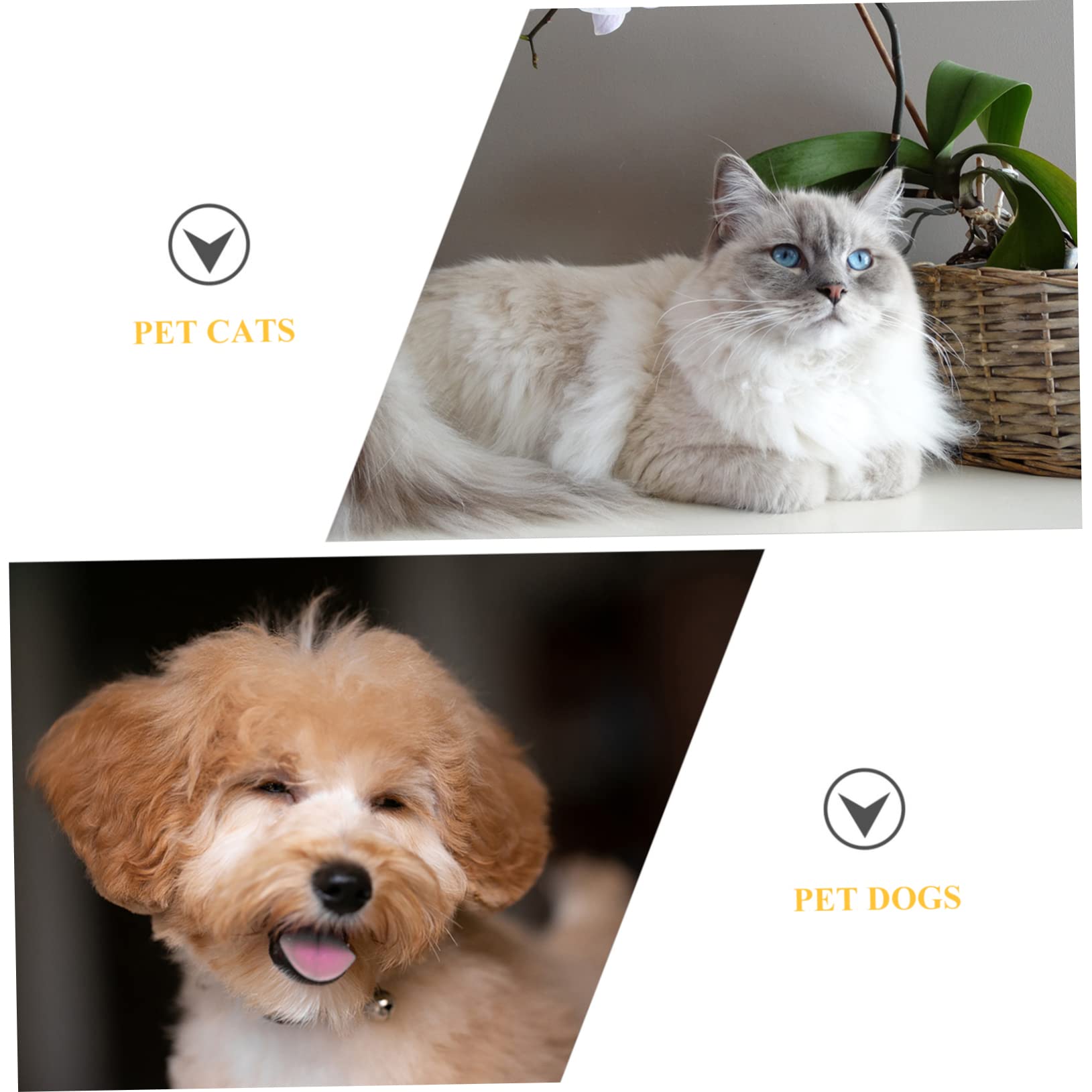 FRCOLOR 2 Conos de recuperación para Cachorros de Elisabeth, para Perros, Cachorros, curación antifugas, Collar para Mascotas, Conos de protección curativa, Collar para Gatos, Suministros