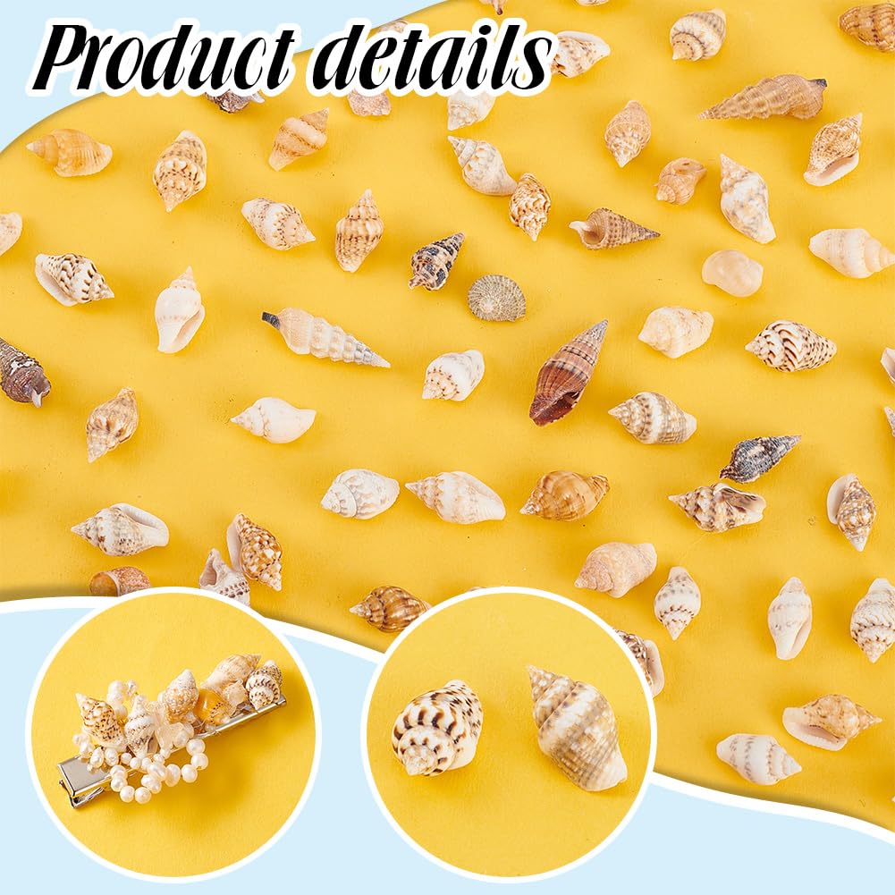 PH PandaHall 1400-1500pz Conchiglie Spirale Decorative Piccole Senza Foro per Resina Gioielli Artigianato Fai Da Te