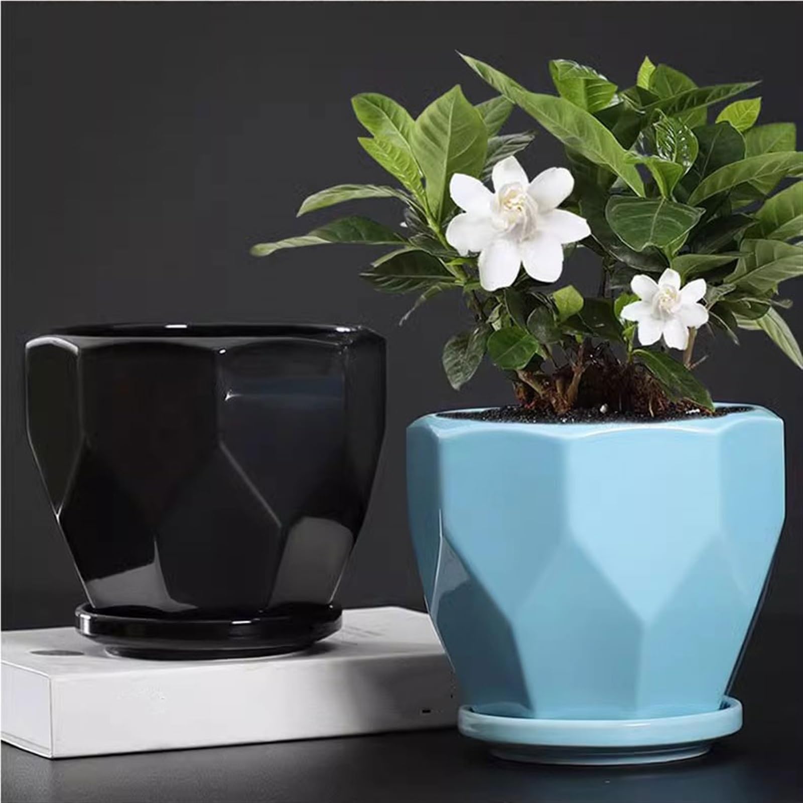 Großer Keramik-Blumentopf mit Tablett, stilvoller Indoor-Sukkulenten-Übertopf für Heimdekoration, modernes Design für Pflanzen und Grünpflanzen für Pflanzenliebhaber