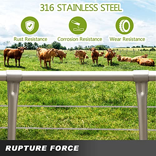 HONYTA 1000FT 1/8\" T316 Stainless Steel Cable with Aircraft Cable for Deck Railing, Stainless Steel Wire Rope, 1 x 19 Strands Construction for DIY Balustrade