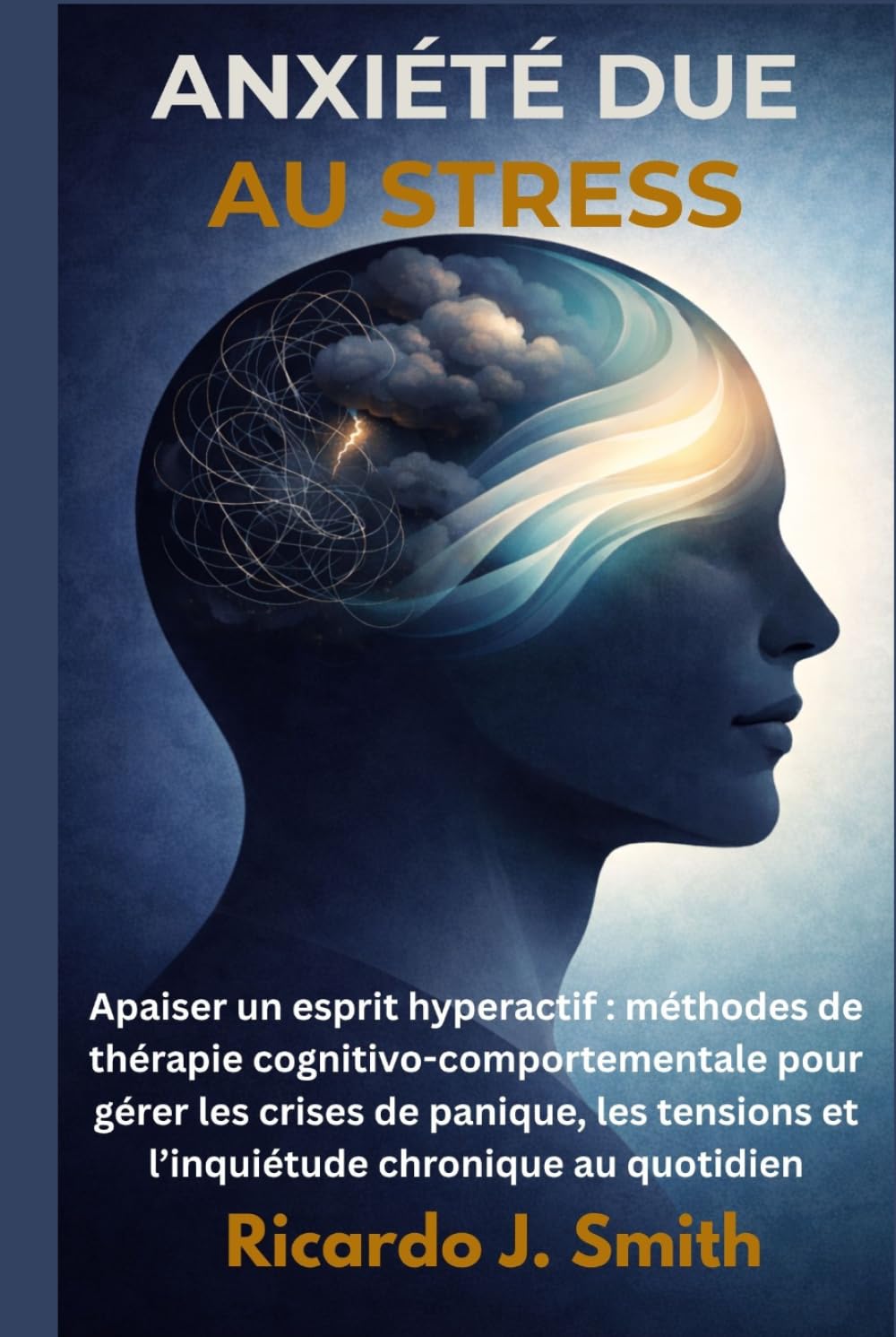 ANXIÉTÉ DUE AU STRESS: Apaiser un esprit hyperactif : méthodes de thérapie cognitivo-comportementale pour gérer les crises de panique, les tensions et l’inquiétude chronique au quotidien