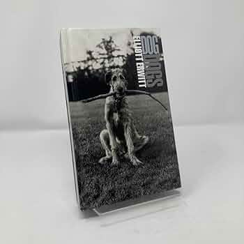 618xoH8Z7VL._AC_UF350,