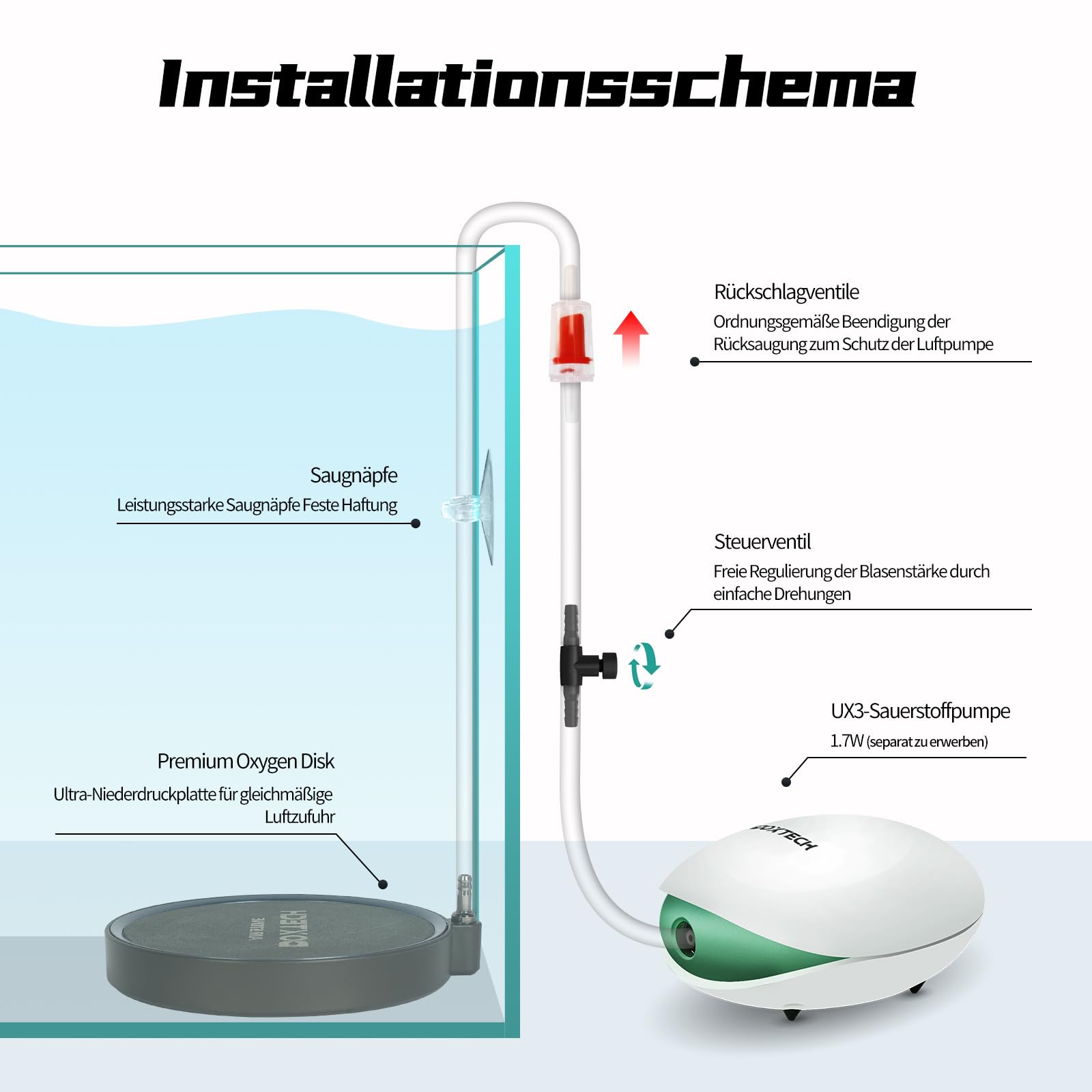 boxtech Kit pietra porosa per acquario (S - 130 mm)