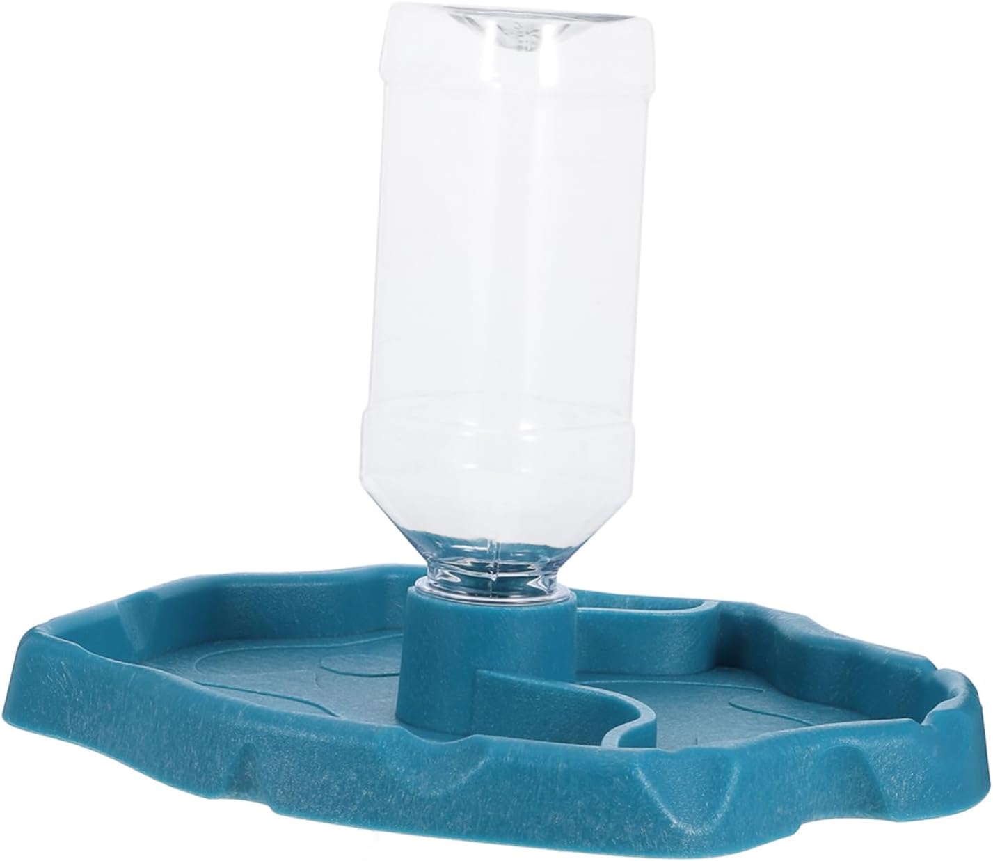 Automatic Reptile Feeder for Turtle Bowl Rabbit Watering System Snail Bowl Reptile Feeding Box