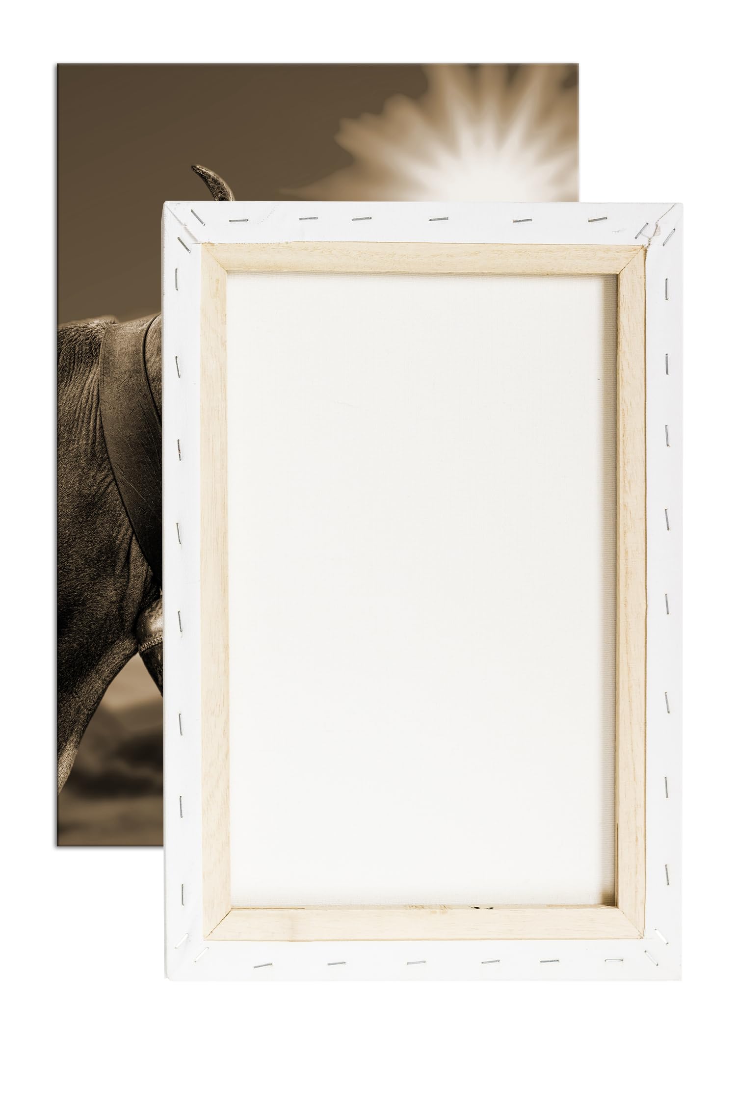 Elegante mucca alpina Formato: 120 x 80 Effetto: Seppia come tela, motivo già incorniciato su cornice in vero legno, stampa digitale di alta qualità con cornice, senza poster o manifesto