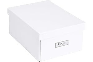 Bigso Box of Sweden Collapsible Storage Box: Keep Clutter at Bay with Style