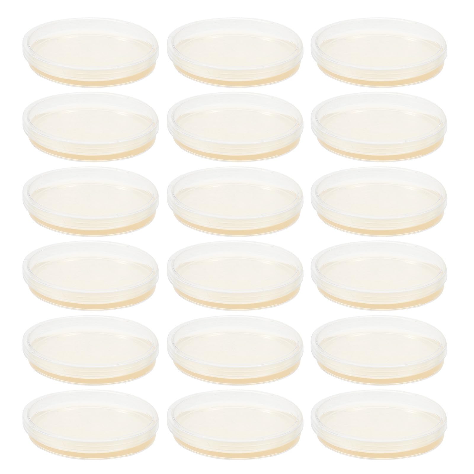 20 Placas de Petri Agar Nutritivo Prevertido y Tapa de Ps para Pruebas de Laboratorio y Cultivo Estable de Microorganismos en Equipamiento Educativo
