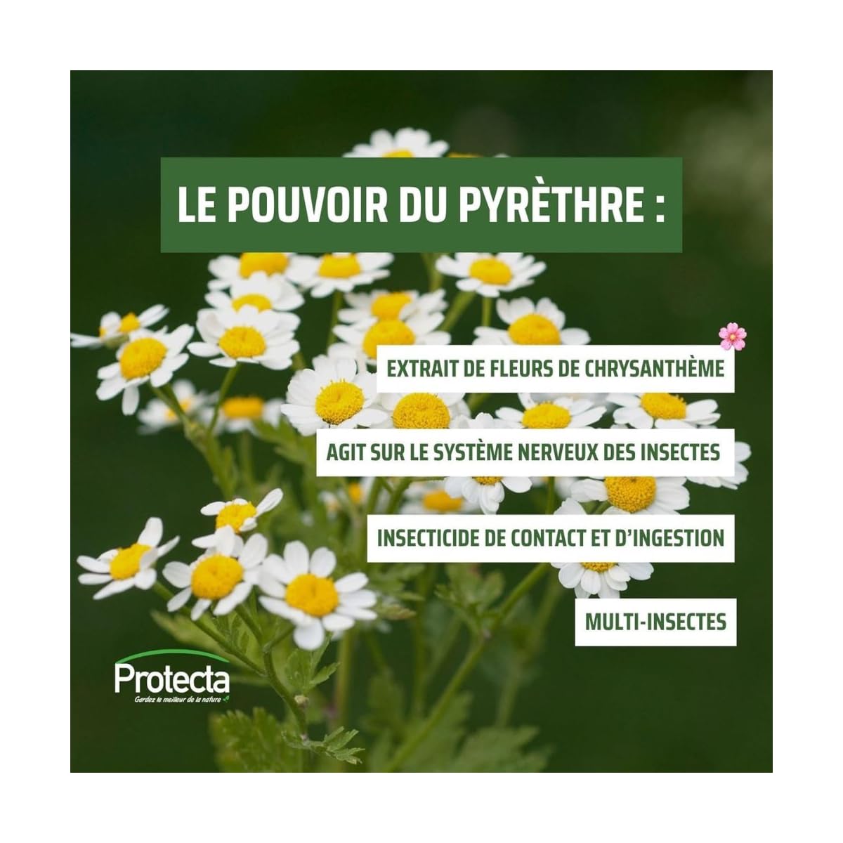 Protecta - Diffuseur automatique d'insecticides au pyrèthre végétal + 1 recharge