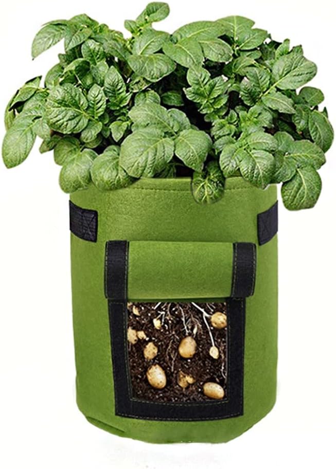 Aeration Fabric Pots Thickened Non-Woven Plant Bag Seedling Bag with Handle Flower Pot Bag Suitable for Vegetable Potato Plant Growth Bag 3 Packs Grow Bags (Color : C, Size : M30*35)