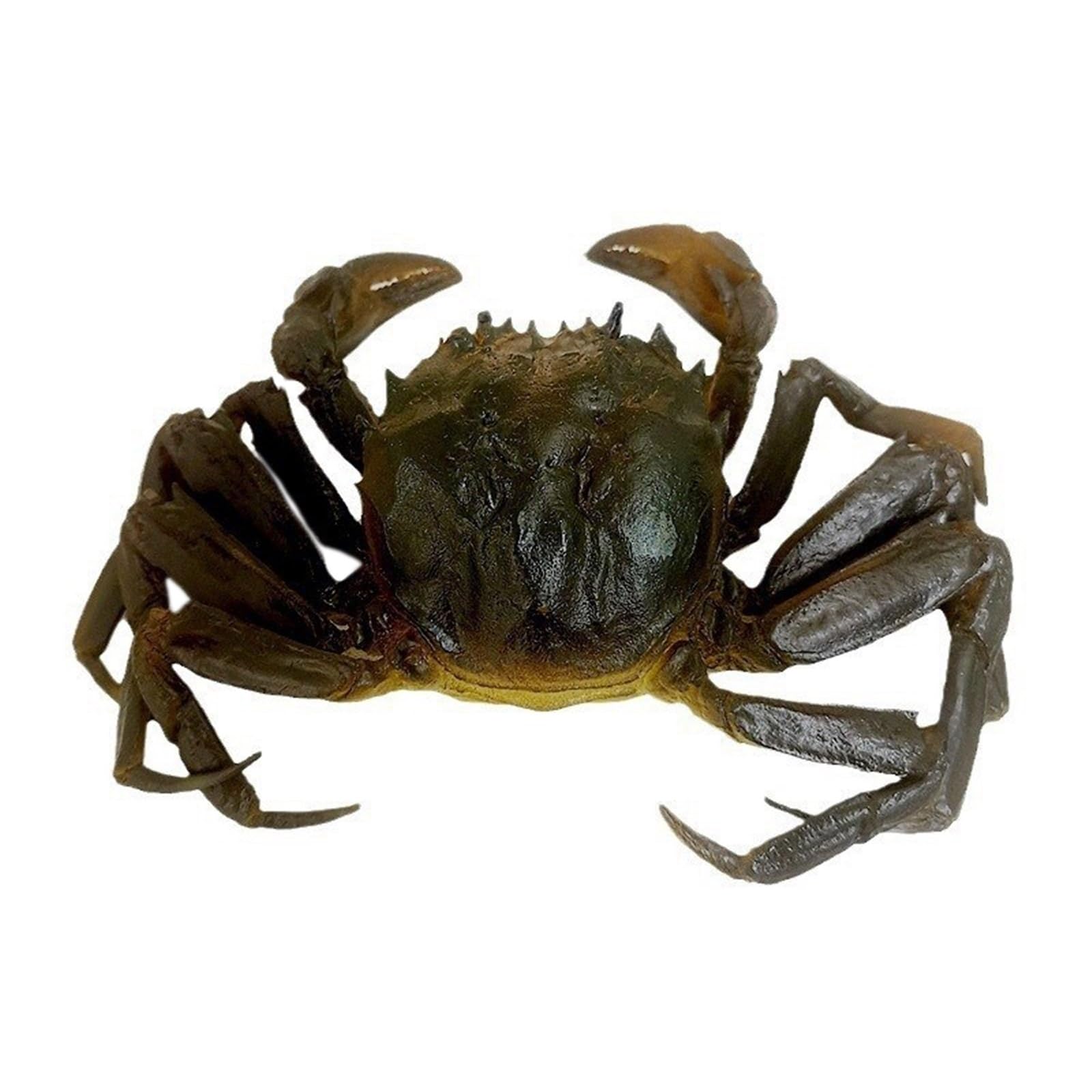 Good looking fake seafood comfortable feel artificial seafood delicately made for collectors and enthusiasts Realistic model
